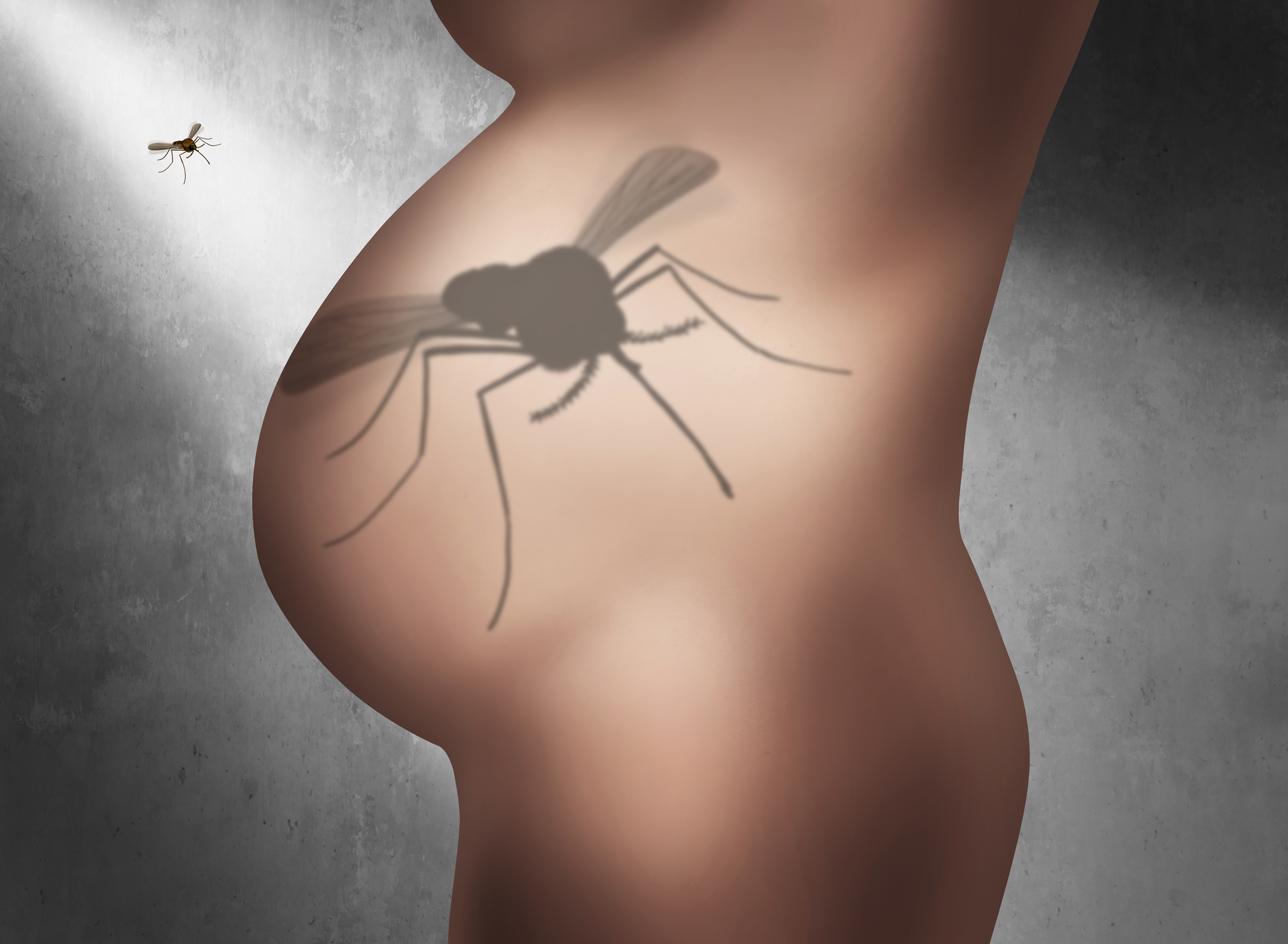 Zika vs DEET
